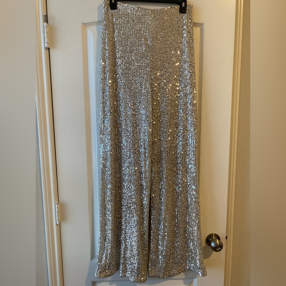 Silver sequins pants -worn once